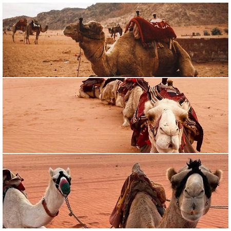 Wadi Rum Rozana Camp Exterior photo