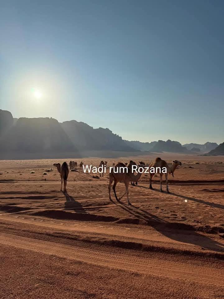 Wadi Rum Rozana Camp Exterior photo